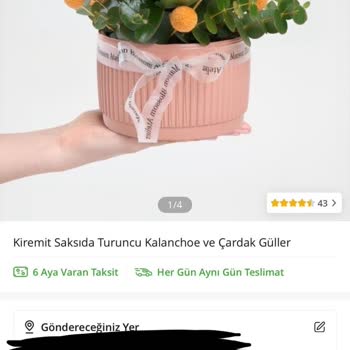 Sipariş Edilen Çiçek Aranjmanının Eksik Ve Hasarlı Teslimi Hayal Kırıklığı Yarattı