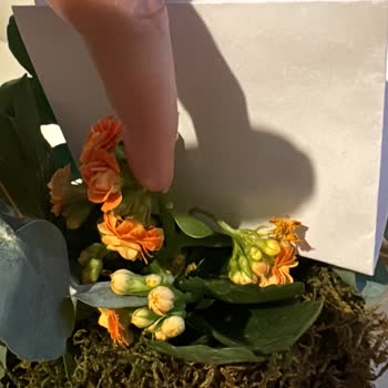 Sipariş Edilen Çiçek Aranjmanının Eksik Ve Hasarlı Teslimi Hayal Kırıklığı Yarattı