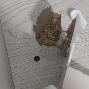 Eksik Kurulum Sonrası Sorunumu Çözmeyen Bellona Mağduriyeti