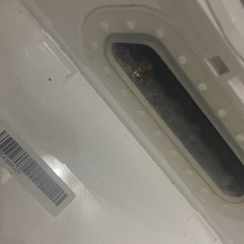 Servisten Kirli Ve Hatalı Dönen Roborock S8 Cihazı Şaşkınlığı