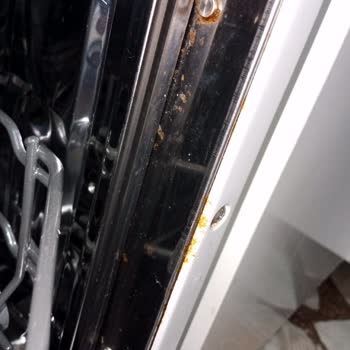 Garanti Kapsamındaki Vestel Ve Regal Ürünlerinde Paslanma Ve İlgisizlik