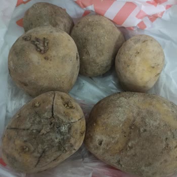 Migros Hemen'den Gelen Bozuk Patatesler Ve İlgisiz Müşteri Hizmeti