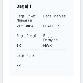 Ajet Havayolları'nın Bagaj Hatası Nedeniyle Mağduriyet Ve Ek Masraf Talebi