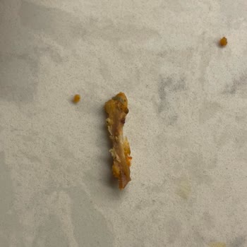 Gedik Piliç Dönerde Kemik Ve Plastik Benzeri Cisim Çıktı, Hijyen Sorunu Yaşadım