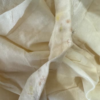 A101'den Aldığım Ürünlerin Küflü Çıkması Ve İade Sorunu