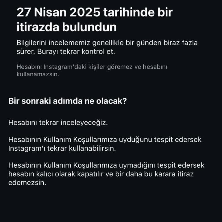 Instagram Hesabımın İncelenmesi ve Belirsizlik