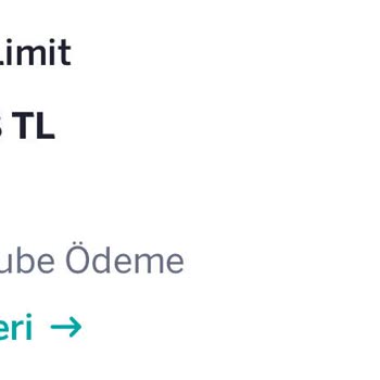 Erken Kapatılan Kart Borcumda Hala Borç Görünüyor