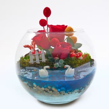 Sipariş Edilen Teraryumun Beklentileri Karşılamaması Ve İade Sorunu