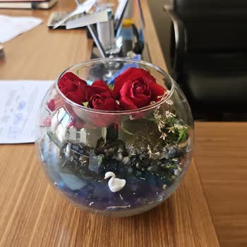 Sipariş Edilen Teraryumun Beklentileri Karşılamaması Ve İade Sorunu