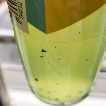 Schweppes İçecekte Yabancı Yeşil Maddelerle Karşılaştım