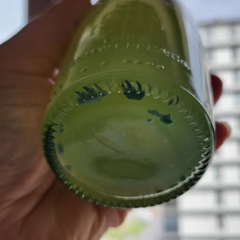 Schweppes İçecekte Yabancı Yeşil Maddelerle Karşılaştım