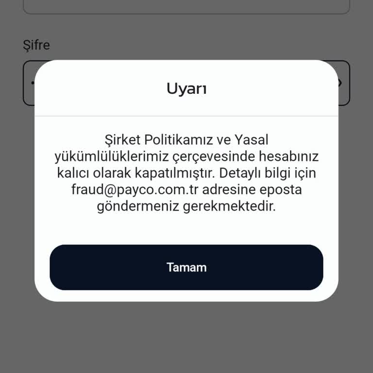 Yatırım Sonrası Hesap Kapatıldı, Destek Ekibi Yanıtsız Kaldı