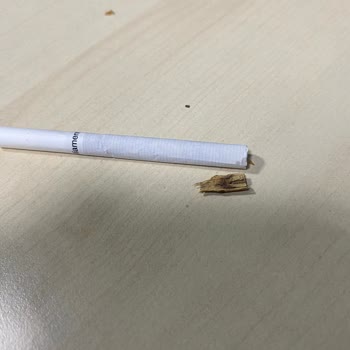 Parliament Midnight Blue Sigaradan Odun Parçası Çıkması