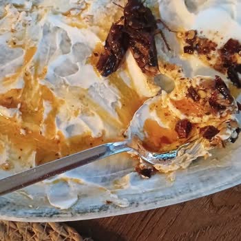 Yemekte Böcek Ve İlgisiz Personel Deneyimi