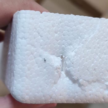 MNG Kargo Gönderiminde Ürüne Zarar Verildi, Destek Sağlanmadı