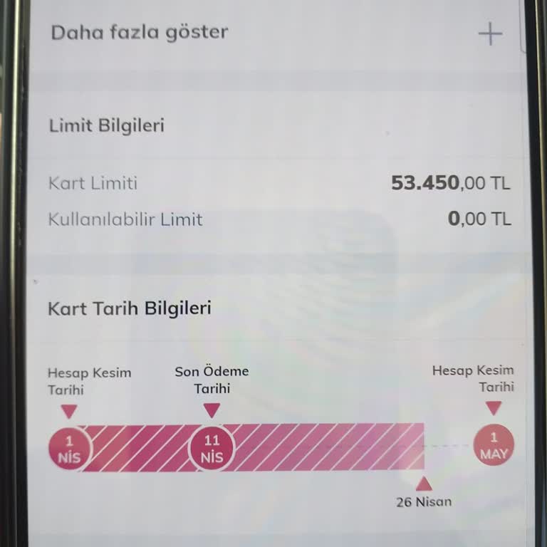 Kredi Kartı Borcumu Kapattım, Kısıtlama Hâlâ Kaldırılmadı Yardım İstiyorum