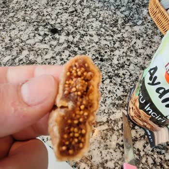 Aldığım Kuru İncirlerin İçinden Kurt Ve Kelebek Çıktı