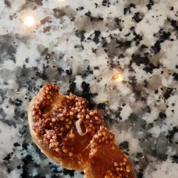 Aldığım Kuru İncirlerin İçinden Kurt Ve Kelebek Çıktı