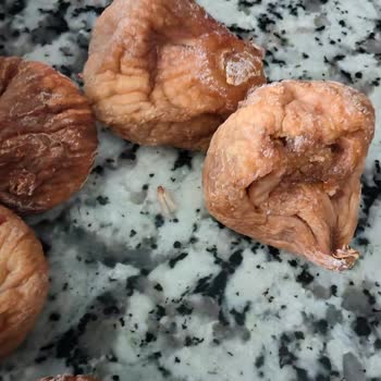 Aldığım Kuru İncirlerin İçinden Kurt Ve Kelebek Çıktı