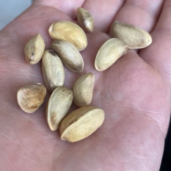 Ürün Kalitesi ve İade Süreci Hakkında Şikayet