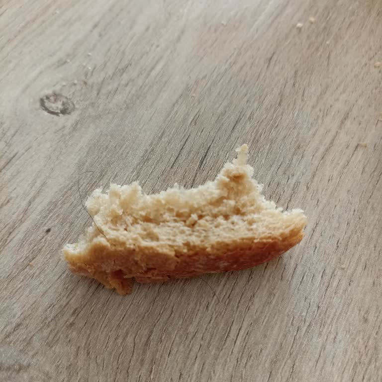 Satın Aldığım Tam Buğday Ekmeğinden Saç Kılı Çıktı, Fiyatına Rağmen Hijyen Sorunu Yaşadım
