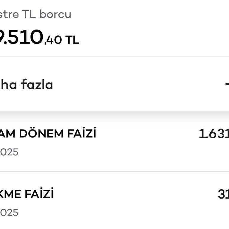 Kredi Kartı Askeri Ödeme Sonrası Devam Eden Faiz Sorunu