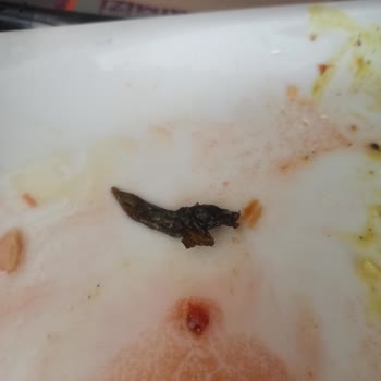 Yemekte Çürük Marul Ve İlgisiz Personel Yaklaşımı