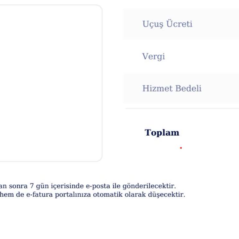 Satın Aldığım Uçuşun E-faturası Tarafıma Ulaşmadı