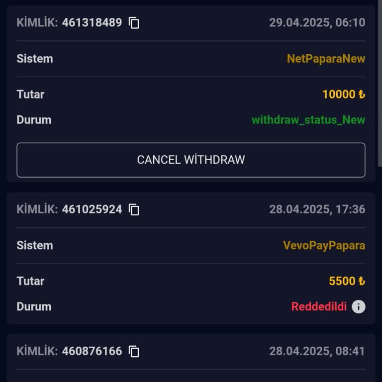 Para Çekme Ve Hesap Erişimiyle İlgili Yaşanan Sorunlar