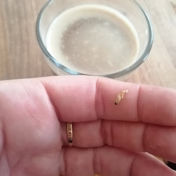 Nescafe Kahvesinde Kurt Çıkmasıyla Hayal Kırıklığı