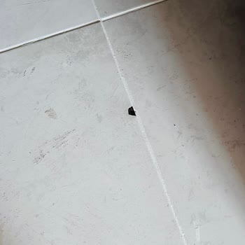 TOKİ Konutlarında Teslimat Sonrası Büyük Eksikler Ve Mağduriyet