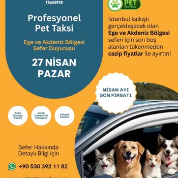 Şirket Görünümlü Patijet Transfer'den Güvensiz Para Talebi
