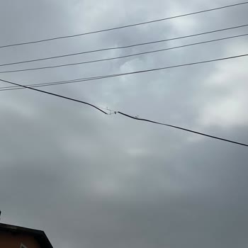 5 Gündür Süren Arıza: Kablo Net'ten Teknik Servis Bekleyişi