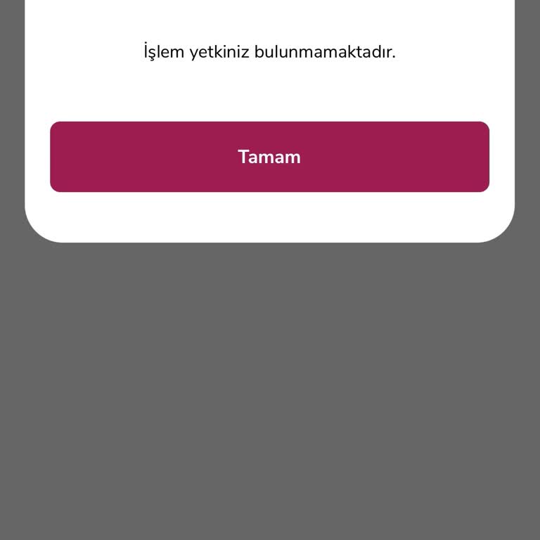Alternatif Bank Hesabımdan Para Transferi Yapamıyorum