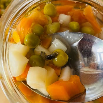 A101 Aldığım Garnitürün İçinden Kurt Çıktı, Hijyen Konusunda Endişeliyim!