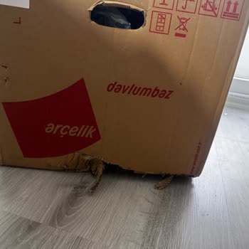 Arçelik Teslimat Ve Servis Ekibinin Duyarsızlığı Ve Eksik Hizmetleriyle Hayal Kırıklığı