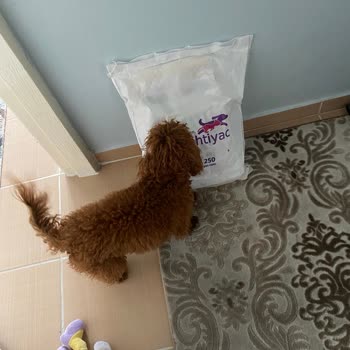 Patlak Mama Paketi Ve Hijyen Sorunu Nedeniyle Güven Kaybı