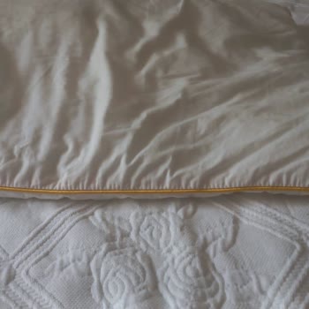 Yataş Alerjik Yastık Özelliğini Kaybetti, Müşteri Hizmetlerinden Ve Bayiden Destek Alamadım