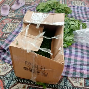 Eksik Ve Hasarlı Teslimat Sonrası Müşteri Mağduriyeti