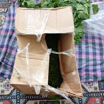 Eksik Ve Hasarlı Teslimat Sonrası Müşteri Mağduriyeti