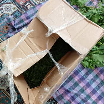 Eksik Ve Hasarlı Teslimat Sonrası Müşteri Mağduriyeti