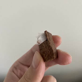 Protein Bar Ürünü İçindeki Yabancı Madde Hakkında Şikayet