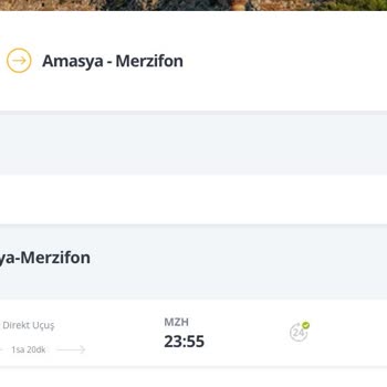 Pegasus Bilet Alımında Gizli Ek Ücretlerle Karşılaştım