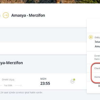 Pegasus Bilet Alımında Gizli Ek Ücretlerle Karşılaştım
