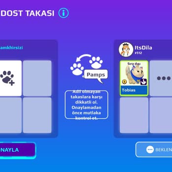 Pkxd Oyununda Değerli Petim Tobias Çalındı