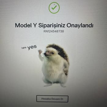 Tesla Türkiye'de Yanlış Model Ve İade Sorunu