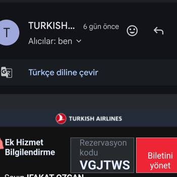 Türk Hava Yolları İptal Vaadiyle Yolcuyu Mağdur Ediyor