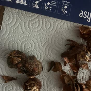 Aldığım Soğanlar Çürük Ve Küflü Çıktı, Acil Çözüm Bekliyorum