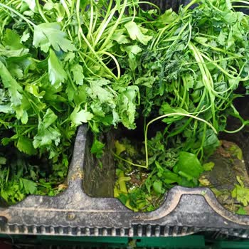 Migros'ta Çürük Sebze Ve Meyve Satışı Sorunu Çözülmüyor