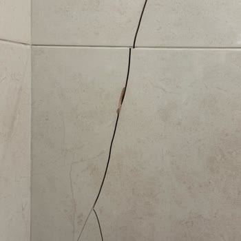 Deprem Sonrası Evde Oluşan Çatlaklar Ve Site Yönetiminin İlgisizliği